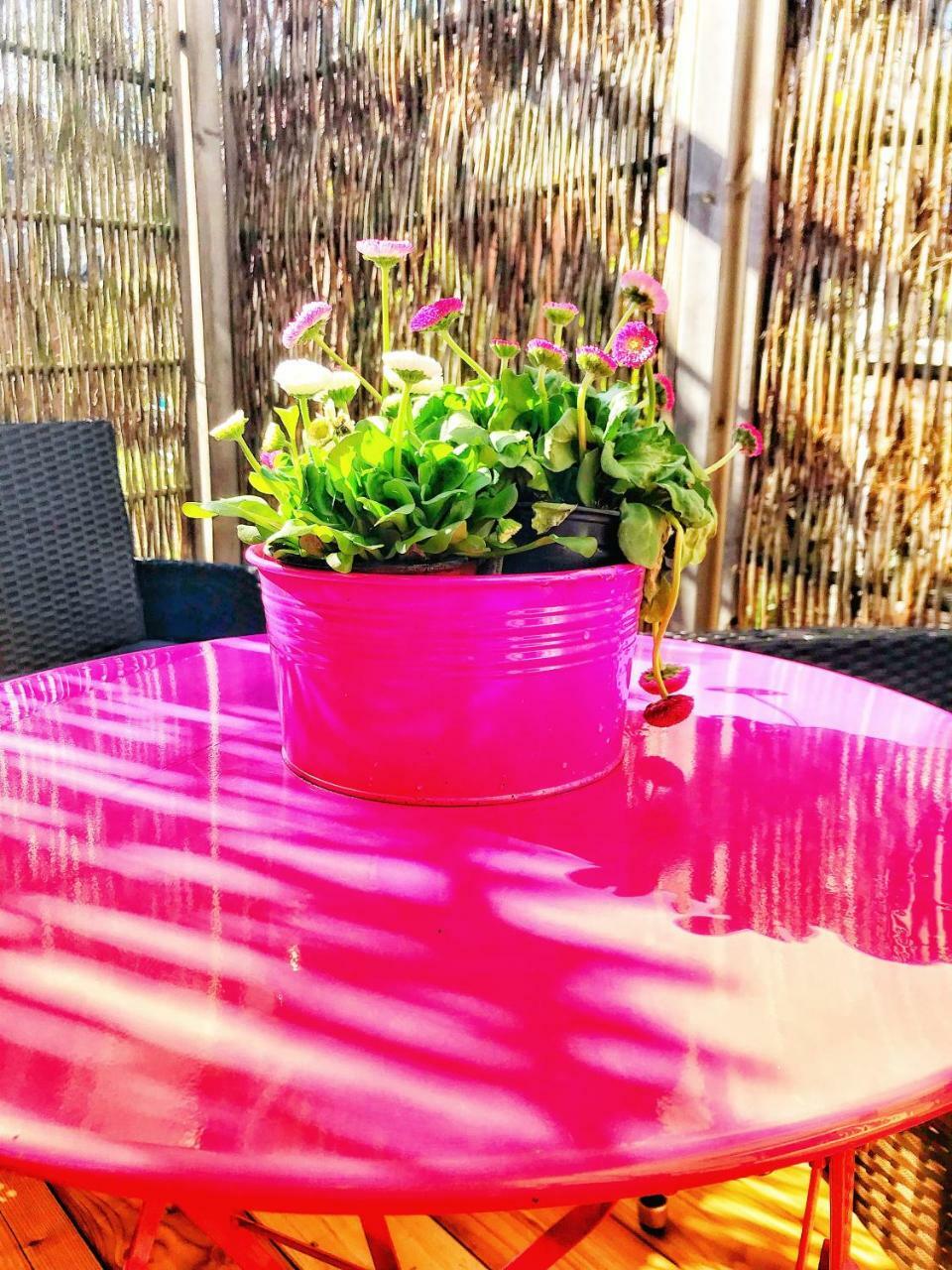 Ferienwohnung Schoenwaelder Mit Kleiner Terrasse Und Wall Box Buxtehude Kültér fotó