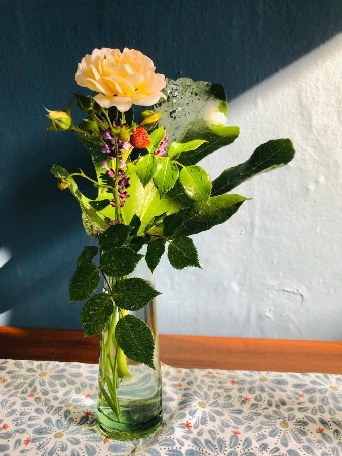 Ferienwohnung Schoenwaelder Mit Kleiner Terrasse Und Wall Box Buxtehude Kültér fotó